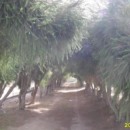 Nuraghe, Barrierefrei, Auf Olivenhain Gonnesa